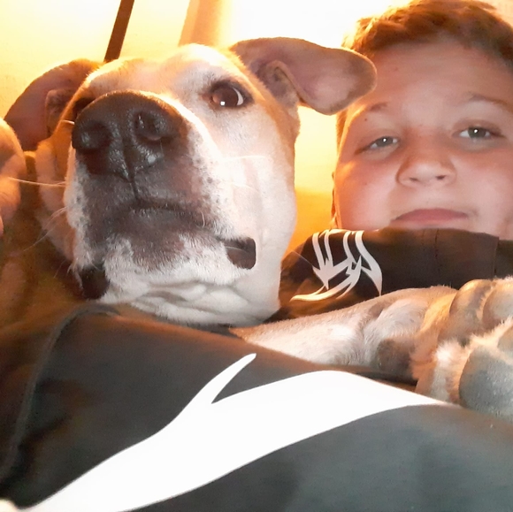 Meet your Posher, William - Picture 1 of 1